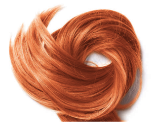 Henné Rouge d'Egypte n°2 - Henné Rosso, Phitofilos