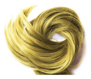Phitofilos, poudre d'epinette vinette, crespino, coloration, blond froid, blonde, reflets dorés, éclaircir, éclaircissment, cheveux, henné blond, cuivré, rouge cerise, henné naturel, brillance, nourrit, démêle, hydratation, chevelure, soin capillaire, cheveux châtain, soin capillaire, bio, vegan, boutique, gaine.