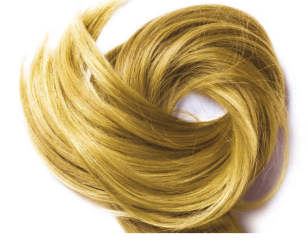 Coloration Végétale / Henné Blond Doré - Camomille - Miscela Camomilla, Phitofilos