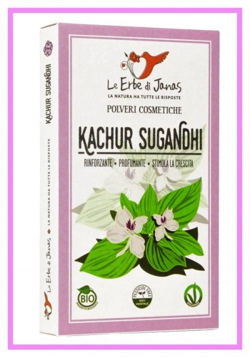 Kachur Kachoor Sugandhi, le erbe di janas, gingembre, cutcherry, galangal ou lys de résurrection, Kapoor Kachli, stimule la pousse, rend les cheveux fort, épais et brillant. volume, lave cheveux douceur, shampoing, sidr, shikakai, ghassoul, henne, masque capillaire, sec, hydratant, pousse, boutique, biologique, bio