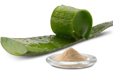 Aloe Véra en Poudre - HennaFox