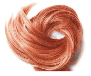 Coloration Végétale Abricot - Miscela Robbia, Phitofilos